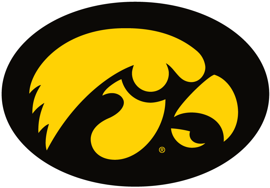 Iowa Hawkeyes iron ons